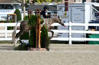 HSM_5847