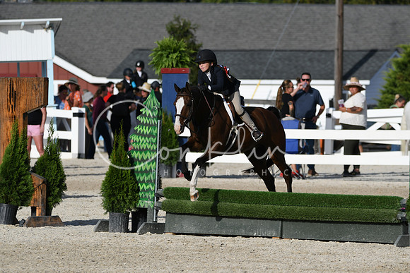 HSM_4379