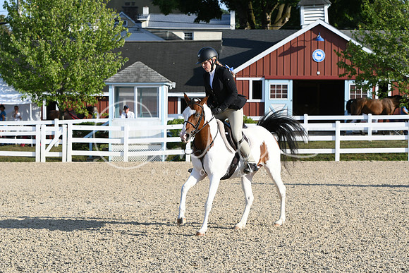 HSM_0060