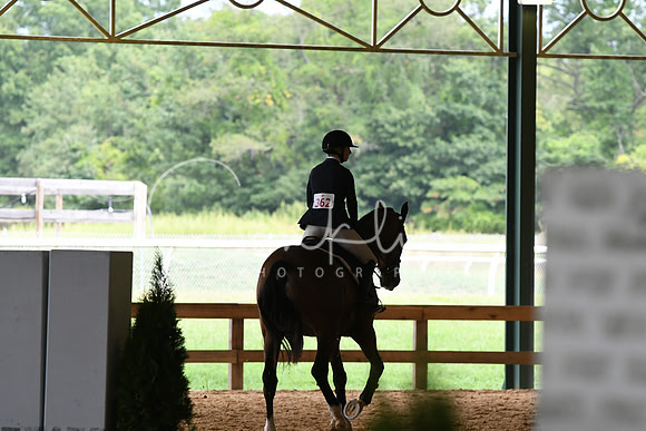 HSM_2917