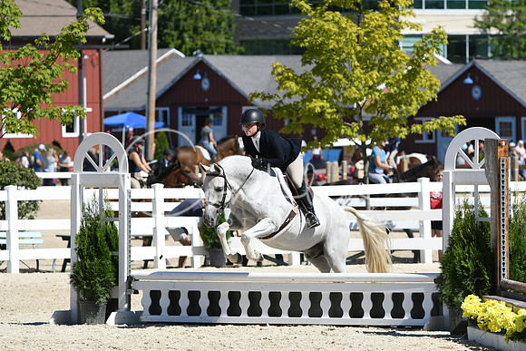 HSM_2860