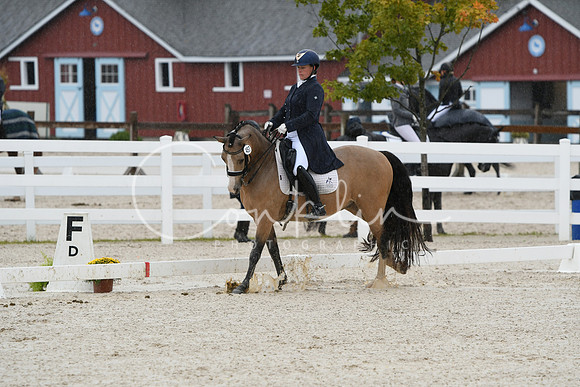 HSM_0250