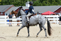 HSM_8662