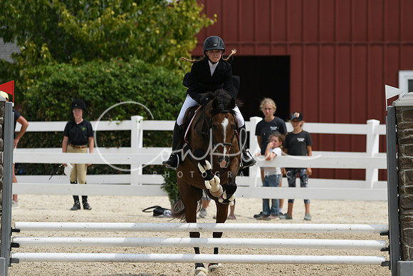HSM_2611
