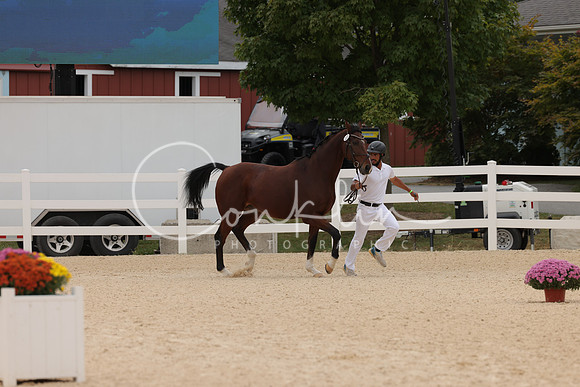HLK_0808