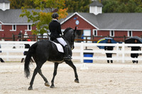 HSM_0423