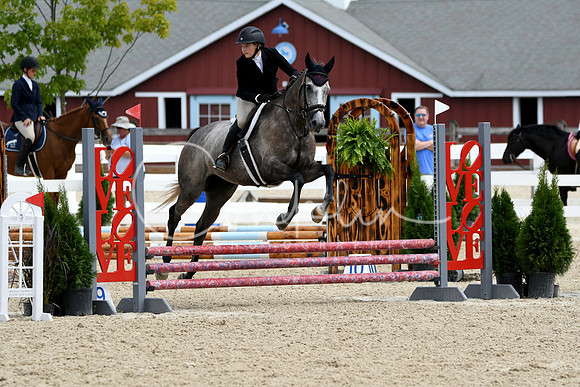 HSM_2212-1
