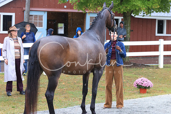 RJC30559
