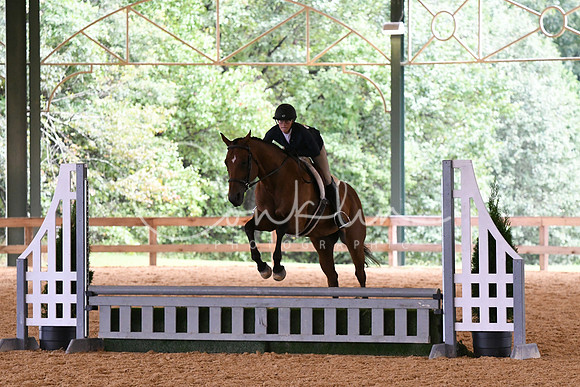 HSM_2719