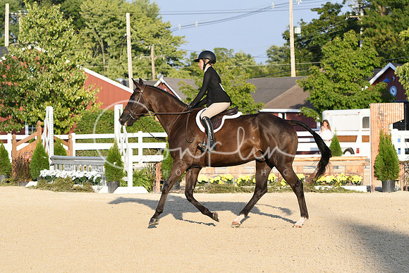 HSM_0218