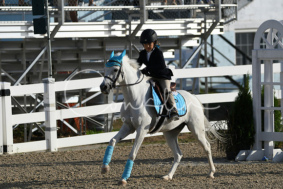 HSM_1197