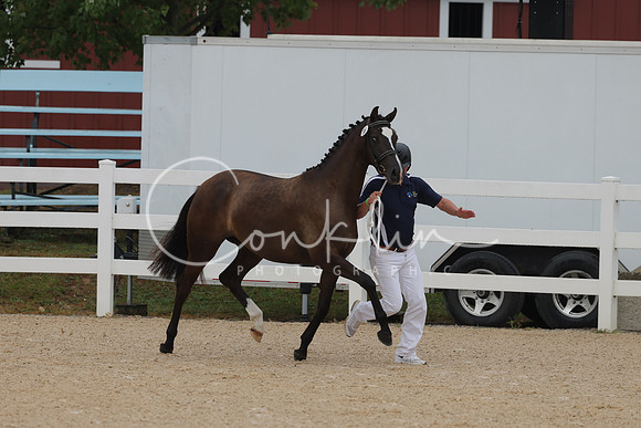 HLK_3262