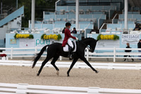 RJC33816