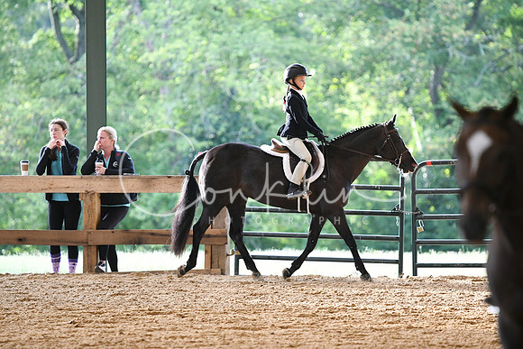 HSM_0669