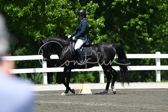 HSM_1813