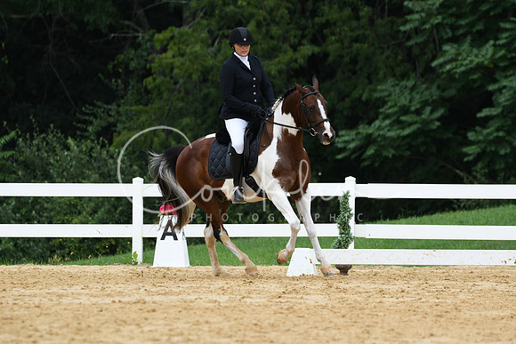 HSM_0465