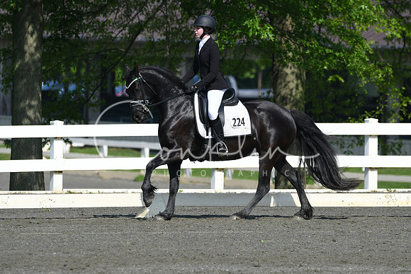 HSM_1079