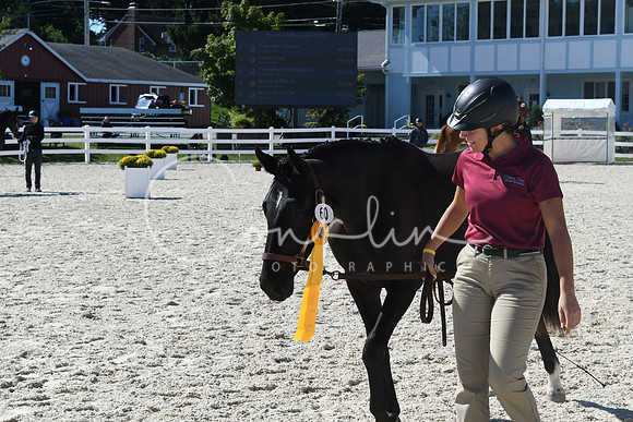 HSM_6029