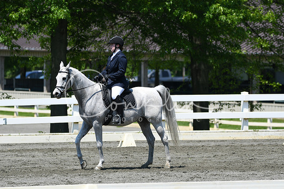 HSM_1541
