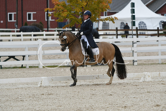 HSM_0245