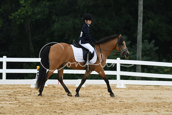 HSM_9591