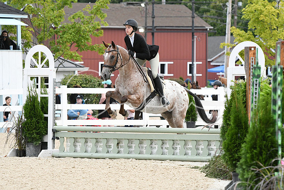 HSM_5162