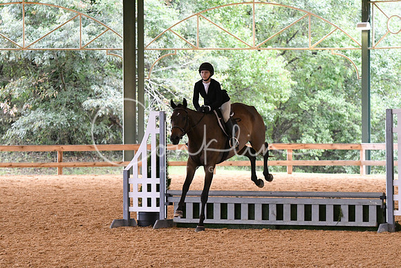 HSM_1295