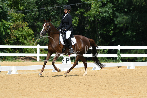 HSM_1193