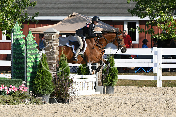 HSM_0071