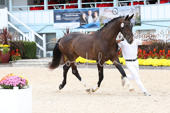 JRM_5591
