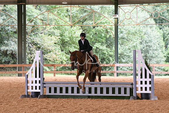 HSM_2619