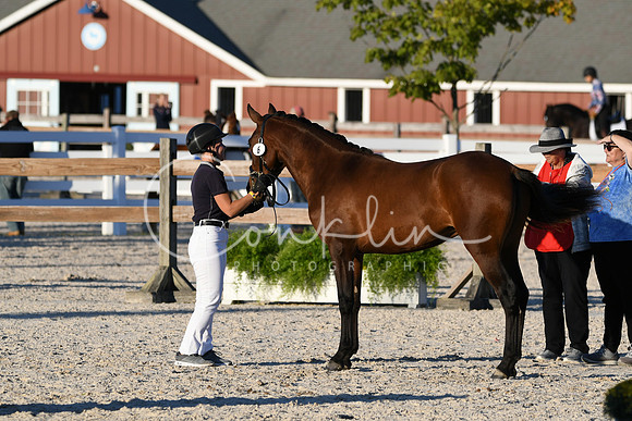 HSM_5626