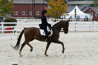 HSM_0931