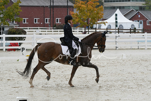 HSM_0931