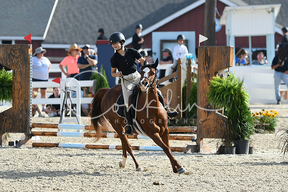 HSM_1493