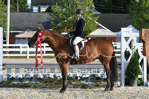 HSM_0167-1