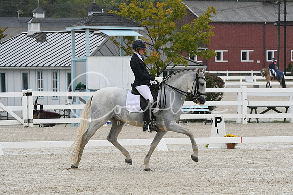 HSM_0082