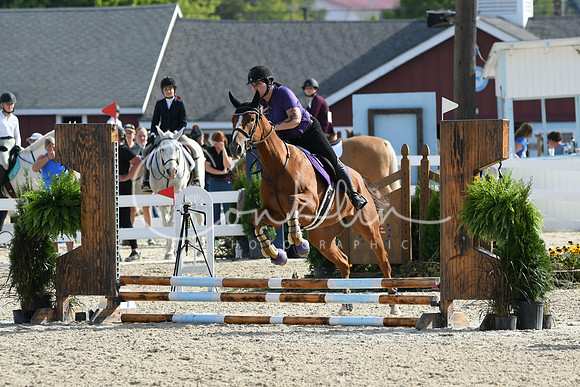 HSM_1636