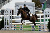HSM_0972