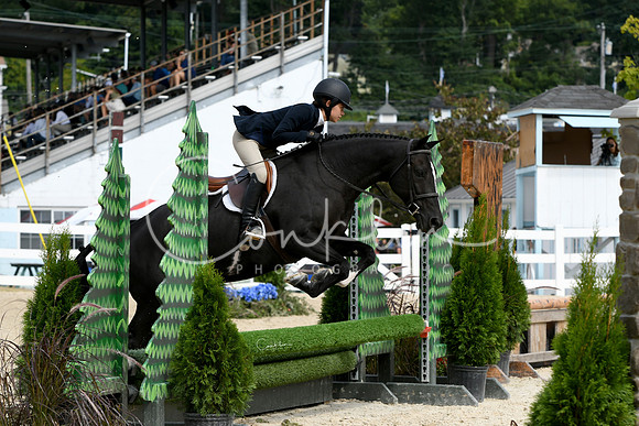 HSM_8616-1
