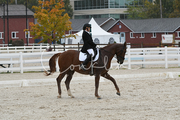 HSM_0382