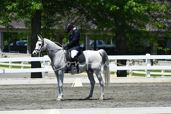 HSM_1539