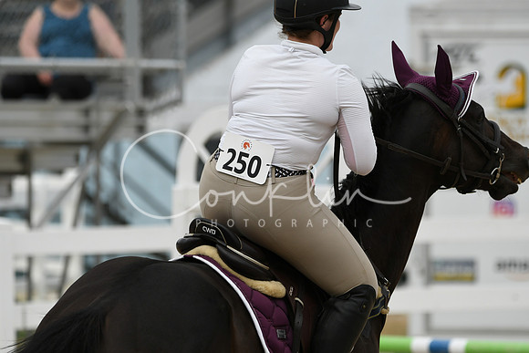 HSM_2635