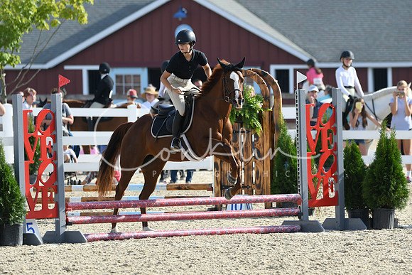 HSM_1487