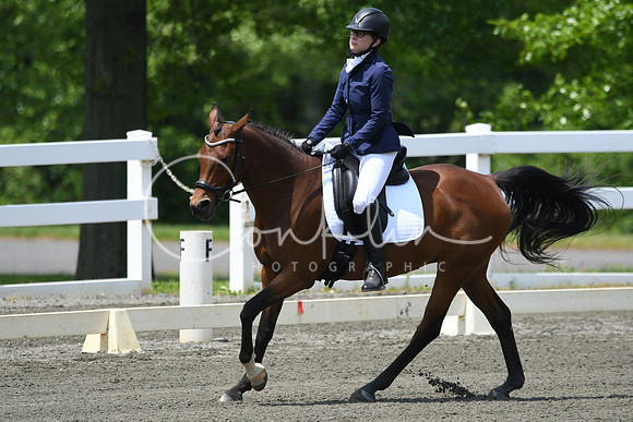HSM_0238