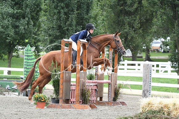 HSM_2709-1