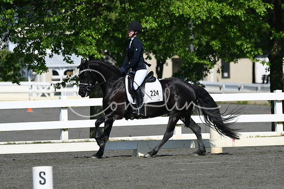 HSM_1158