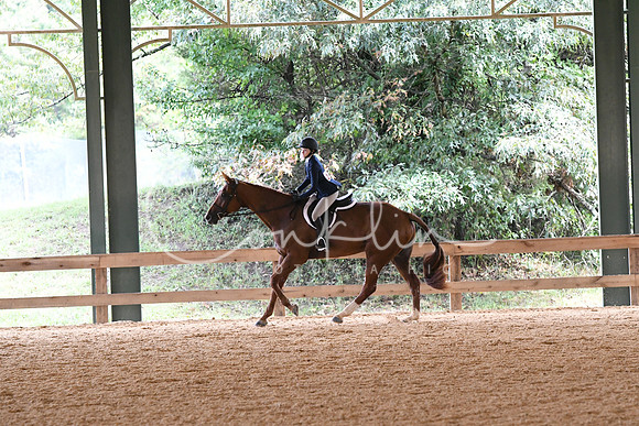 HSM_2748