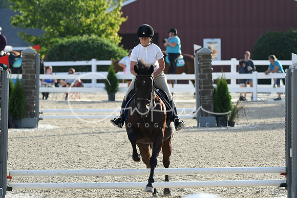 HSM_1207