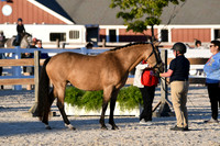 HSM_5643